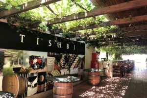 Tishbi Winery Yard